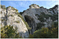 Lezea