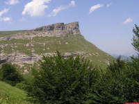 Tologorri